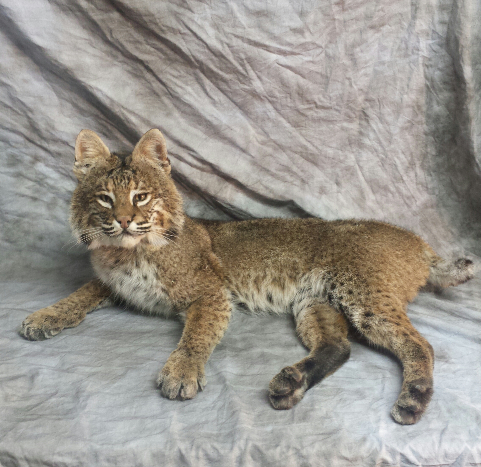 20160728_141306-1.jpg 20160728_141306-1.jpg