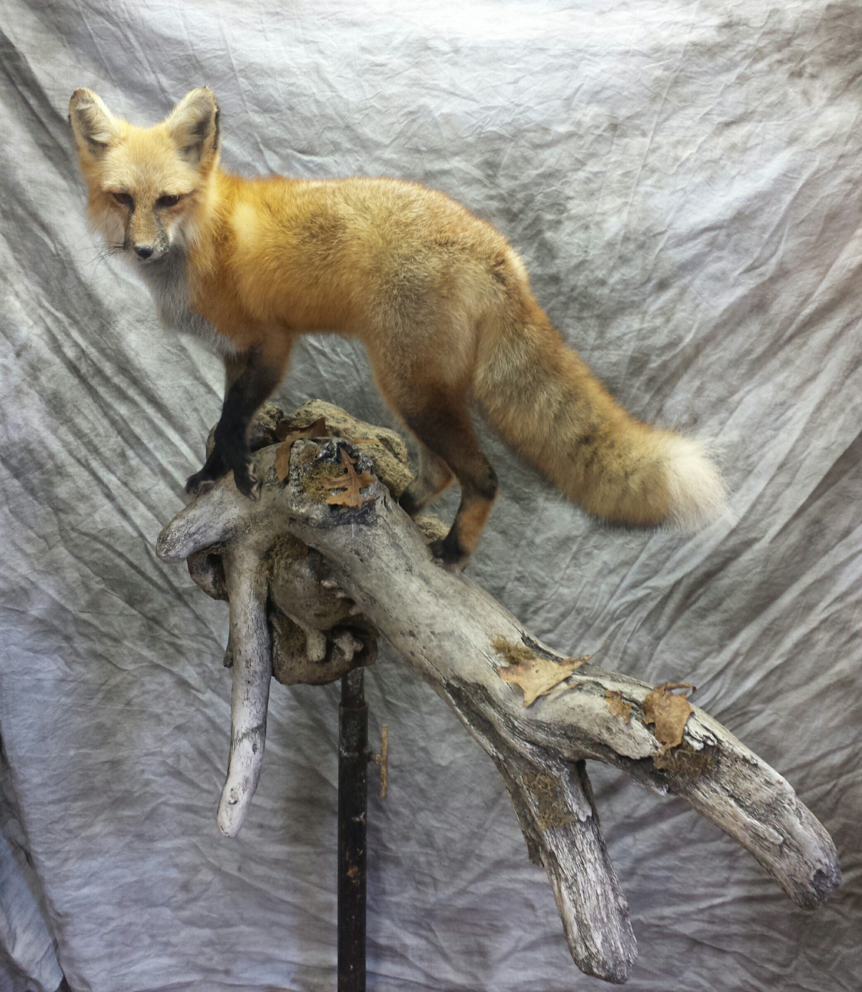 20160607_165832-1.jpg 20160607_165832-1.jpg