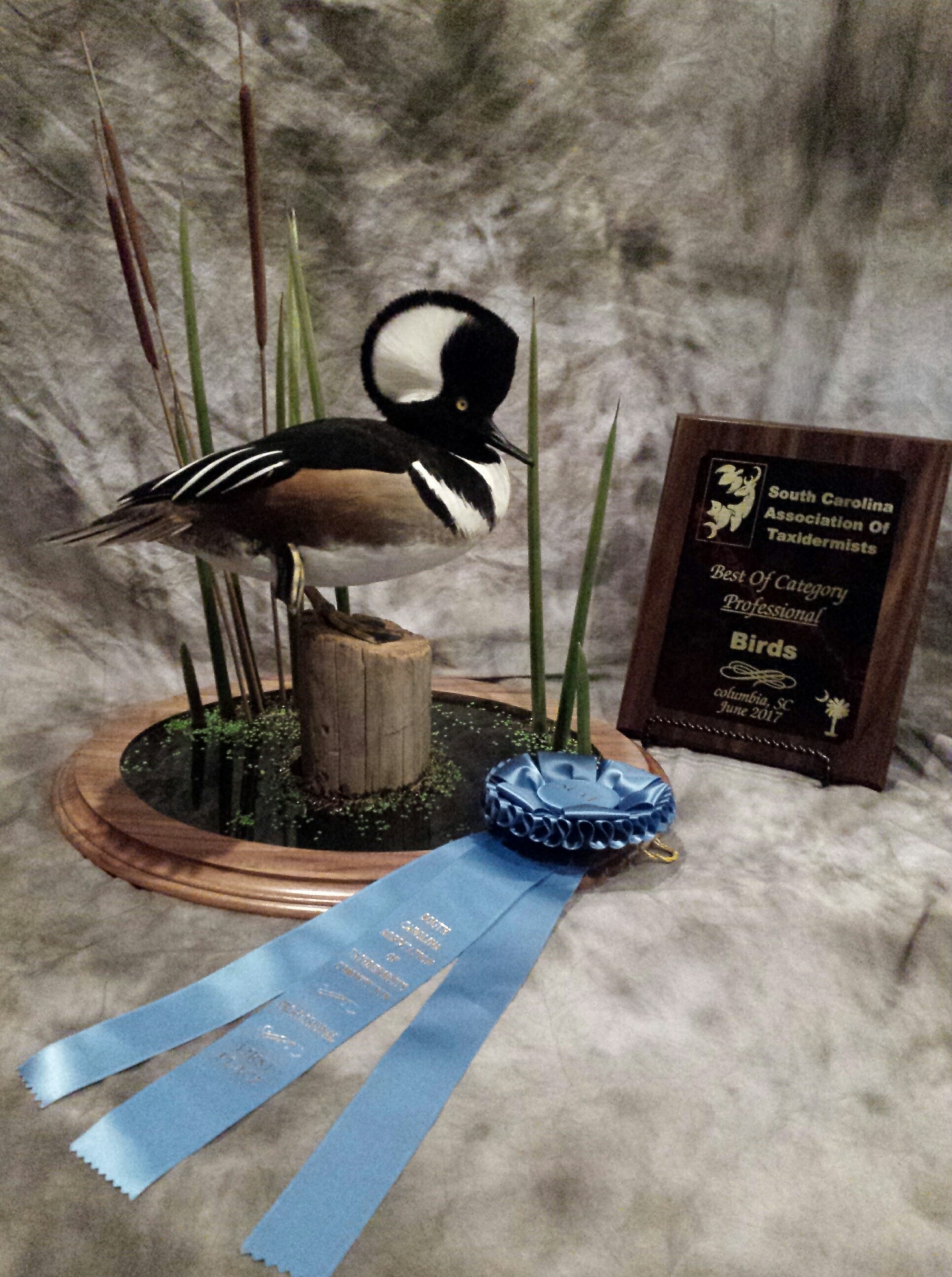 20170619_002544-1.jpg 20170619_002544-1.jpg