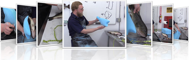 carvingmain-image-1.jpg carvingmain-image-1.jpg