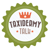 taxidermy-talk-logo.png