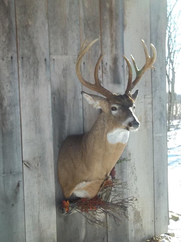 10404892_407188326127127_7592684438959038948_n-1.jpg 10404892_407188326127127_7592684438959038948_n-1.jpg