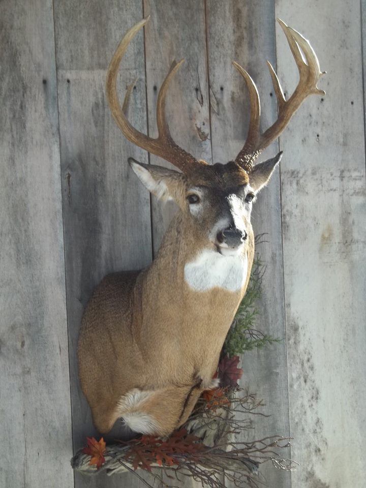 11668_407188222793804_2136121249165409711_n-1.jpg 11668_407188222793804_2136121249165409711_n-1.jpg