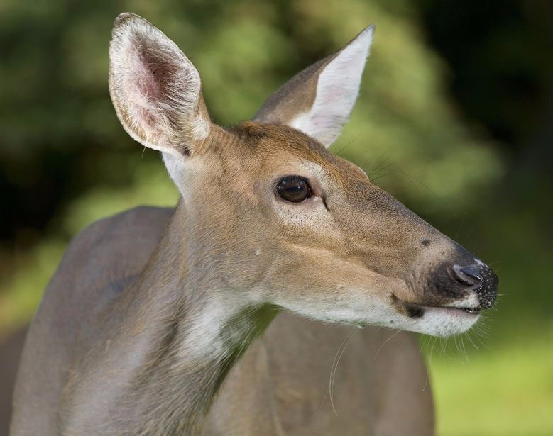 11076539_m.jpg 11076539_m.jpg