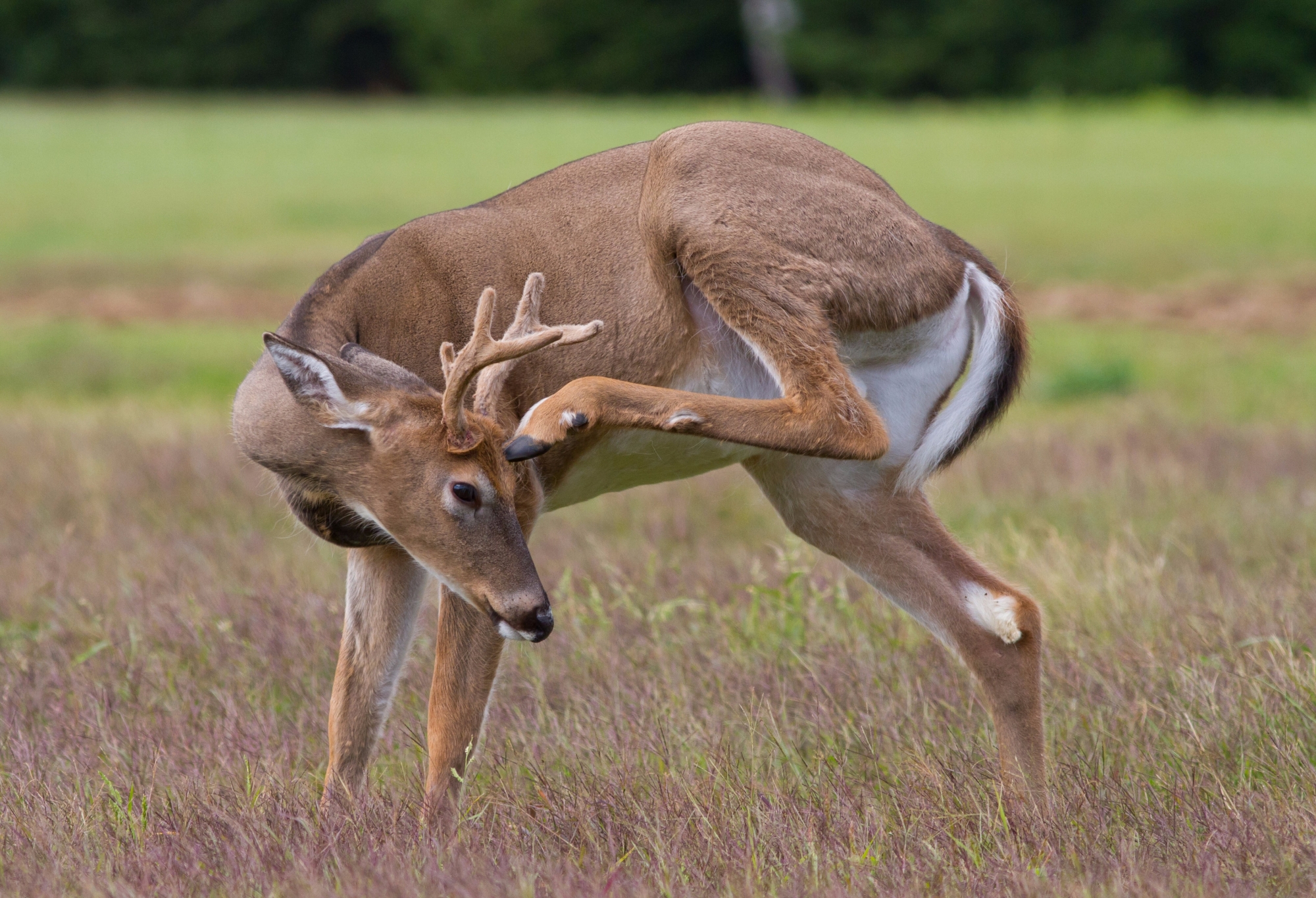 shutterstock_220732213.jpg shutterstock_220732213.jpg