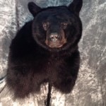 1506568_614245835290442_1582485605_n