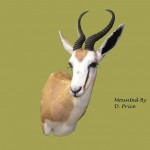 1472894_601200566583757_89429590_n