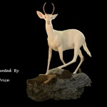 179778_529787367058411_366294996_n