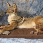 b225b6c1-07f9-44d7-b7d3-592c9dae38ec