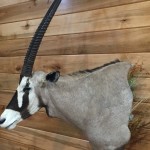 A9AD0368-98B5-4B30-AC53-C848E23C0FA5_zpshoxxh7cs