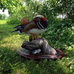 11722634_1111986712163038_289464204165003725_o