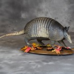 7E26ACC9-6752-4064-B527-6E9D2CC5A580_zps9p2elfvj