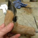 Deer Hoof Gun Rack