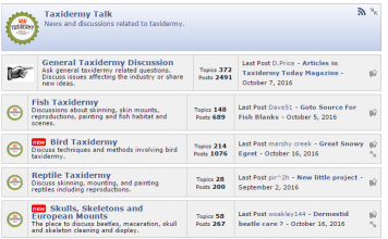 Visit our forums !