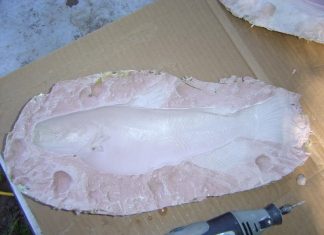 Molding a catfish