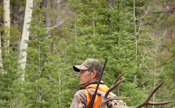 A question of passion