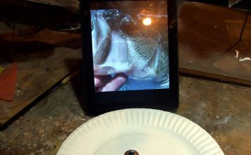 Painting a Largemouth Bass Fish Eye