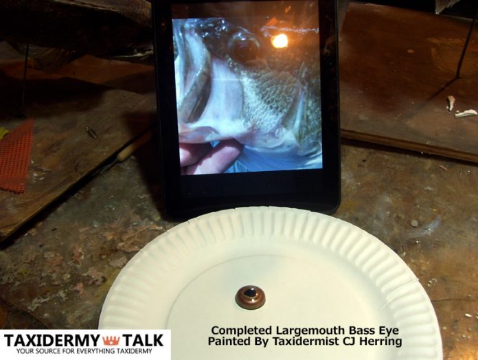 Painting a Largemouth Bass Fish Eye