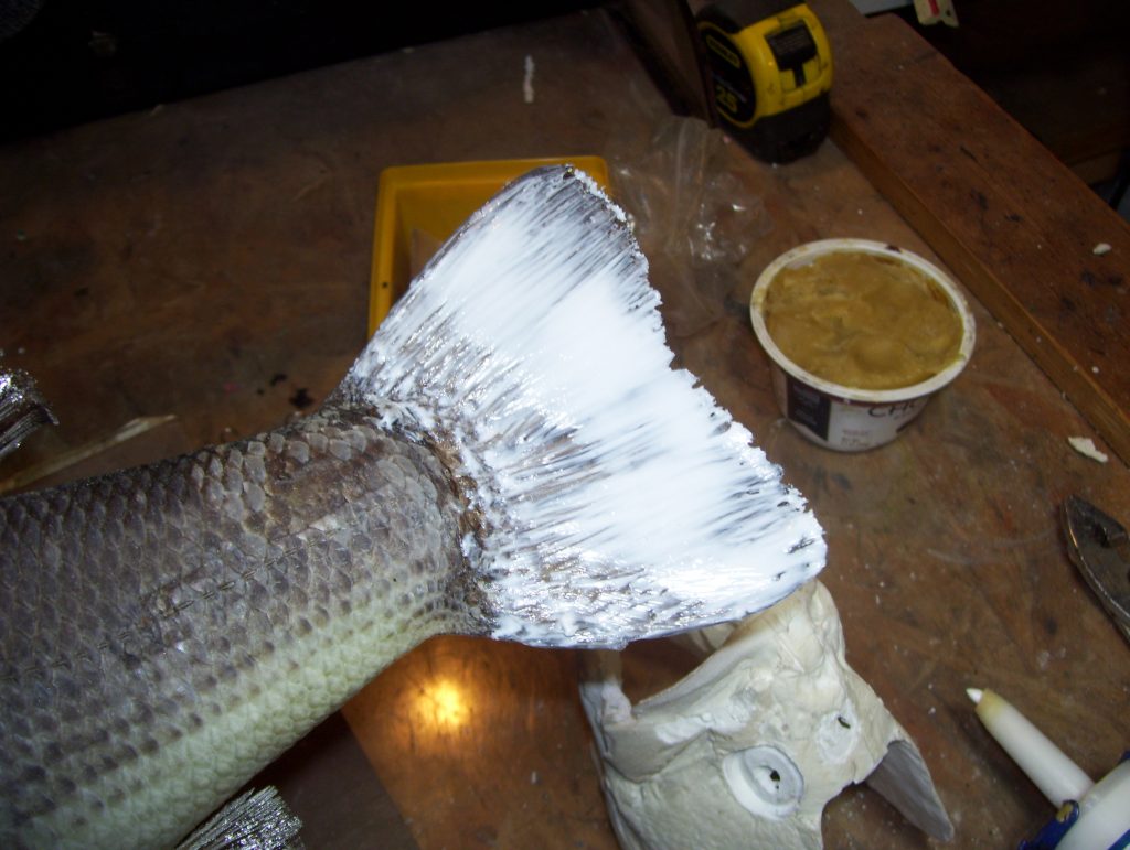 Taxidermy How To Seal Fish Fins (12) Taxidermy Talk