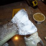 Taxidermy How To Seal Fish Fins (12)