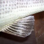 Taxidermy How To Seal Fish Fins (5)