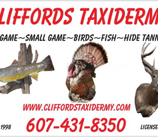 Central New York Taxidermy