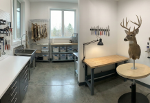Organizing Your Taxidermy Shop: Creating an Efficient, Professional Work Layout