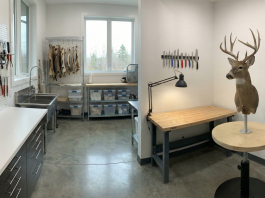 Organizing Your Taxidermy Shop: Creating an Efficient, Professional Work Layout