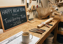 Happy New Year from Taxidermy Talk