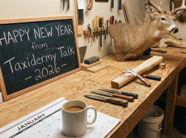 Happy New Year from Taxidermy Talk