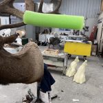 elk antler tip safety