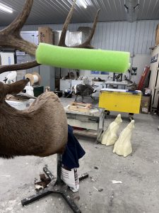 elk antler tip safety 