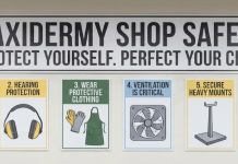 Taxidermy Shop Safety: Protecting Yourself While Perfecting Your Craft Taxidermy Shop Safety: Protecting Yourself While Perfecting Your Craft