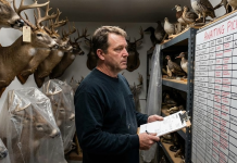 When Customers Don’t Pick Up: Protecting Your Taxidermy Shop From Completed-Mount Backlog When Customers Don’t Pick Up: Protecting Your Taxidermy Shop From Completed-Mount Backlog