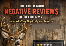 The Truth About Negative Reviews in Taxidermy — And Why They Might Help Your Business The Truth About Negative Reviews in Taxidermy — And Why They Might Help Your Business