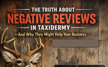 The Truth About Negative Reviews in Taxidermy — And Why They Might Help Your Business The Truth About Negative Reviews in Taxidermy — And Why They Might Help Your Business