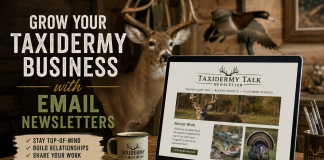 How Taxidermists Can Use Email Newsletters to Grow Their Business How Taxidermists Can Use Email Newsletters to Grow Their Business